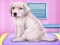 Mchezo Labrador at the doctor salon online