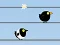 Mchezo Gone with the Birds online