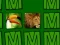Mchezo Memorina online