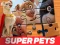 Mchezo DC League of Super Pets Jigsaw Puzzle online