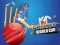 Mchezo Cricket World Cup Game online