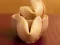 Mchezo Fortune Cookies online
