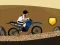 Mchezo Crazy Bike Ride online