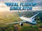 Mchezo Real Flight Simulator online