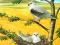 Mchezo Birds Of Prey Puzzle online