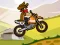 Mchezo Hill Climb Moto online