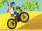 Mchezo BMX Boy Online online
