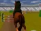 Mchezo Jumping Horse 3d online