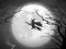 Mchezo The Night Of the Witches Jigsaw online