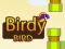 Mchezo Birdy Bird online