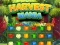 Mchezo Harvest Mania online