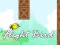 Mchezo Flight Bird online