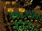 Mchezo Pixel Farm online