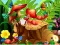 Mchezo Hidden Objects Insects online