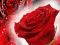 Mchezo Red Roses online