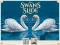 Mchezo Swans Slide online