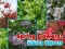 Mchezo Spring Flowers: Hidden Objects online