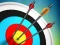 Mchezo Master Archery Shooting online