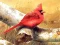 Mchezo Art Birds Puzzle online