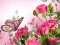 Mchezo Butterflies Puzzle online