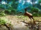 Mchezo  Hunter 3D online