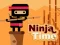 Mchezo Ninja Time online