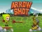 Mchezo Arrow Shoot online