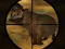 Mchezo Classical Hippo Hunting online