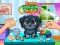 Mchezo Funny Puppy Care online