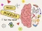 Mchezo Brain Puzzles Quests online