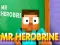 Mchezo Mr Herobrine online