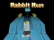 Mchezo Rabbit Run 3D online