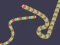 Mchezo Slither Classic online
