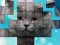 Mchezo PicPu Cat online