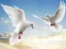 Mchezo Flying Birds online