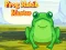 Mchezo Frog Match Master online