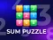 Mchezo Sum Puzzle: Arithmetic online