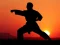 Mchezo Karate Sunset Warriors online