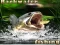 Mchezo Backwater Fishing online