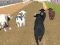 Mchezo Angry Bull Racing online