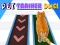 Mchezo Pet Trainer Duel online
