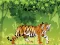 Mchezo Angry Tiger Coloring online