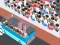 Mchezo Over Load Passengers online