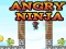 Mchezo Angry Ninja online