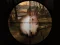 Mchezo Classical Rabbit Sniper Hunting 2019 online