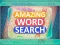Mchezo Amazing Word Search online