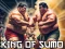 Mchezo King Of Sumo the ultimate brawl online