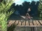 Mchezo Bike Trial Xtreme Forest online