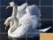 Mchezo Animals Slide Puzzle online