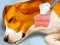 Mchezo Dog Hospital online
